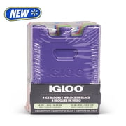 Igloo 4-Pack MaxCold Small Ice Freeze Block, Multi Color, Made for Portable Food Cooling