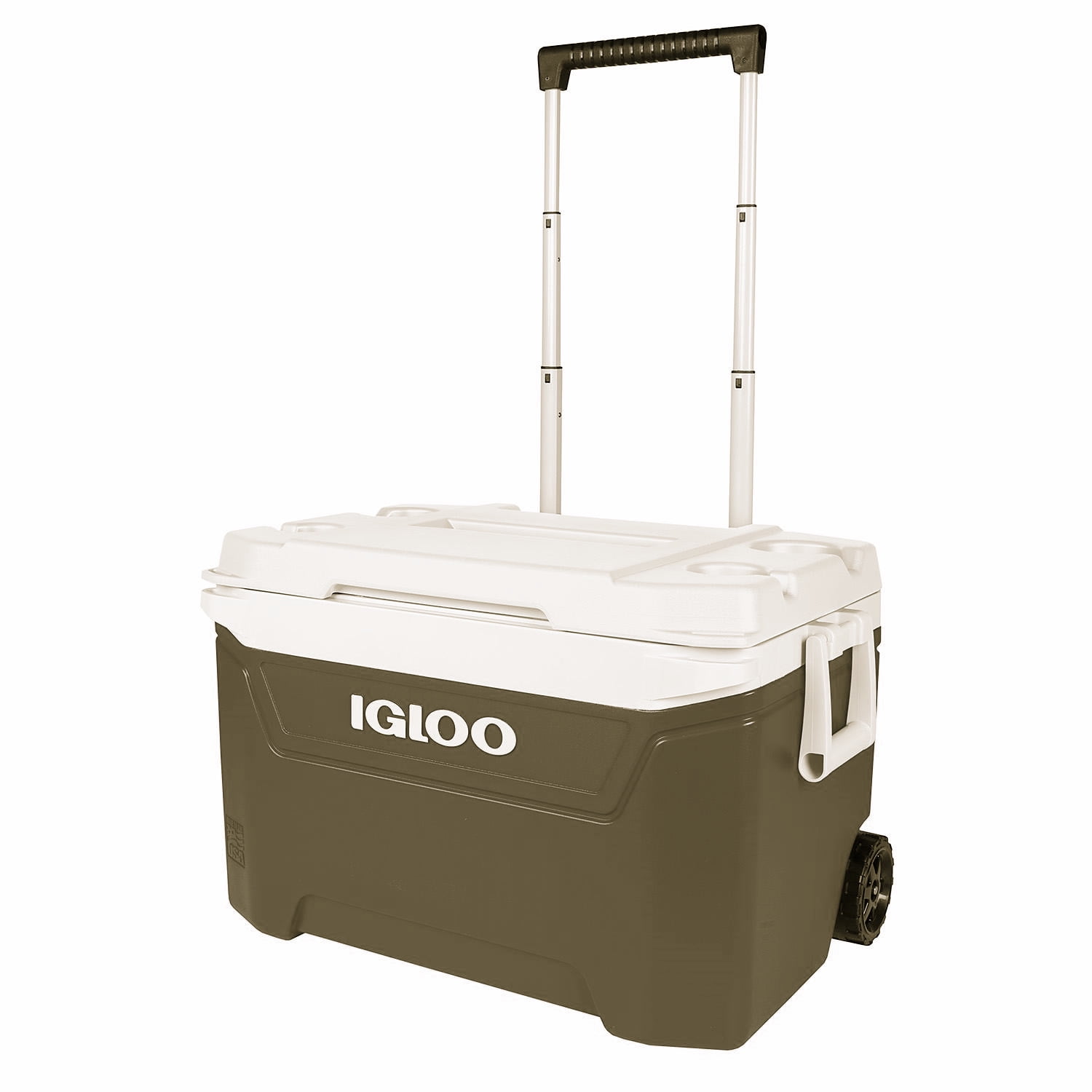 Igloo tailgate cooler discount