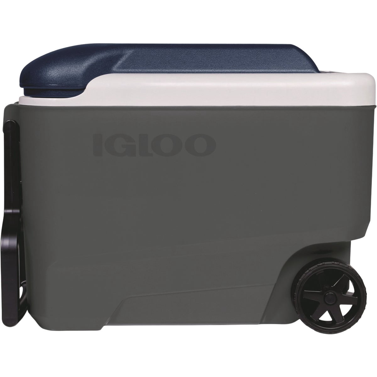 Igloo Maxcold 40 Roller (Ash Gry.Wht.Aegean Sea.Blk) 00034814, 38 Litre