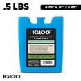 thumbnail image 1 of Igloo MaxCold Small Ice Freeze Block, Blue, Best Used for On-the-Go Snacks and Lunches to Keep Food Cool, 1 of 13