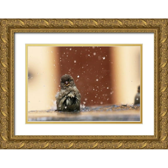 Ignatyev, Alexander 32x23 Gold Ornate Wood Framed with Double Matting Museum Art Print Titled - Humourist