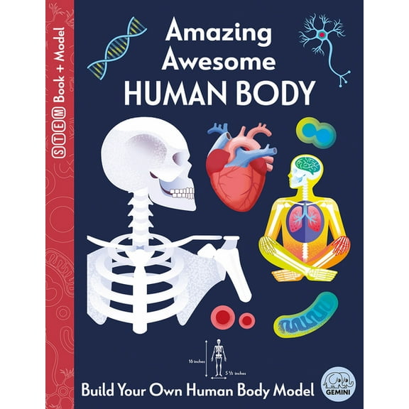 Ignite Stem Book + Model Kit Amazing Awesome Human Body, (Paperback)
