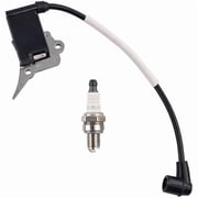 Ignition Coil 6995209 with Spark Plug for Castor Chainsaw, Compatible with CJ300 CP40 CP300 CP3740 P352 PR270 PR270C