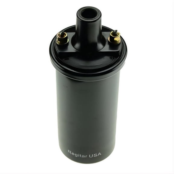 Ignition Coil Compatible with 1939-1975 Farmall Tractors H/M/Super A/Super C 2.0L Universal Ignition Coil 2-Pin 353874R91 365783R91 396546R91 AR46064 1115103 1115142 1115143 1115145
