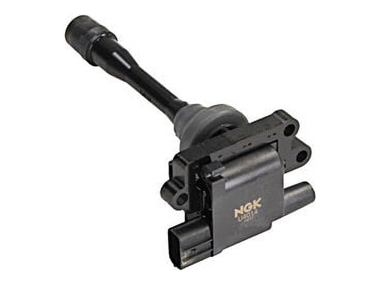 ペルー産　カシクスオニカミキリ　60mm 57mm ペルー産 カシクスオニカミキリ 60mm 57mm ペルー産 カシクス