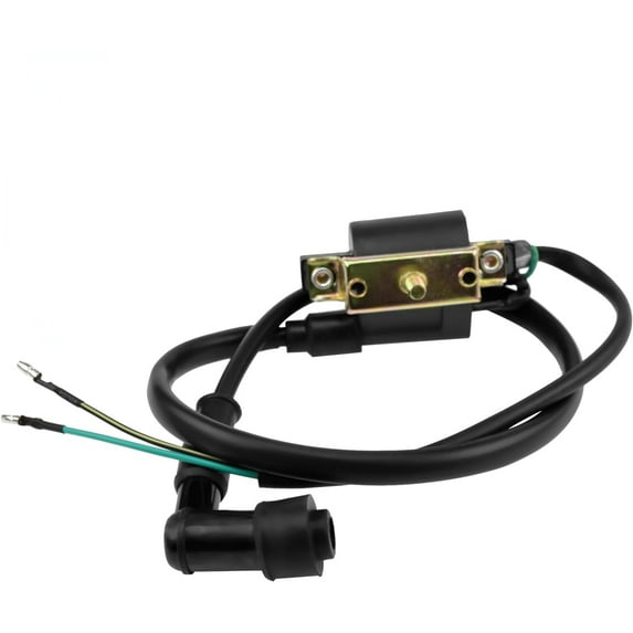 Ignition Coil for Coolster 125cc 110cc 90cc 70cc 50cc Taotao DB10 Cheetah Roketa Baja Kazuma Meerkat 50 Falcon 90 Apollo DB21 Chinese Kids ATV Quad 4 Wheeler Dirt Bike