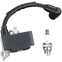 Ignition Coil Module 753-04324 With Spark Plug Replacement, Fits 316794790 316794791 BL100 BL150 Y700 Y700VP YM2BP