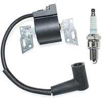 Ignition Coil Module for 796500, 595291, 14B907, 14B932, 14B937, 14B945, 14B947, 14D937, Stable Spark, Easy Installation