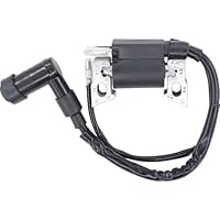 Ignition Coil Module for EU2000i, EU2000iK1, EU2000iT1, 2000W, Stable Spark, Easy Installation