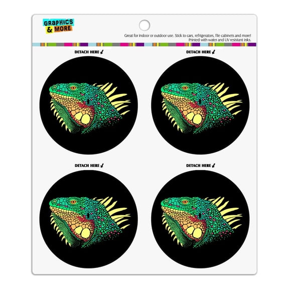 Iguana Head Colorful Refrigerator Fridge Locker Vinyl Circle Magnet Set