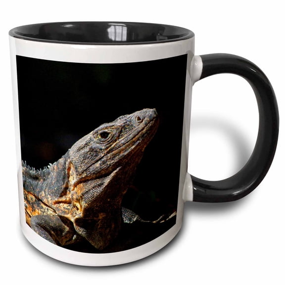 3drose, Iguana in the Sun Puerto Vallarta Mexico, 11oz Two-tone Black Mug