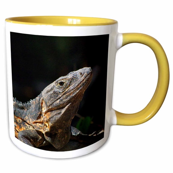 3drose, Iguana in the Sun Puerto Vallarta Mexico, 11oz Two-tone Yellow Mug