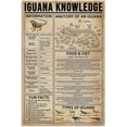 thumbnail image 1 of Iguana Knowledge Metal Signs Poster Anatomy Of An Iguana Popular Science School Garden Bar Garage Club Kitchen Home Wall Decor (Aluminum) Size: 8 x 12 inch, 1 of 4