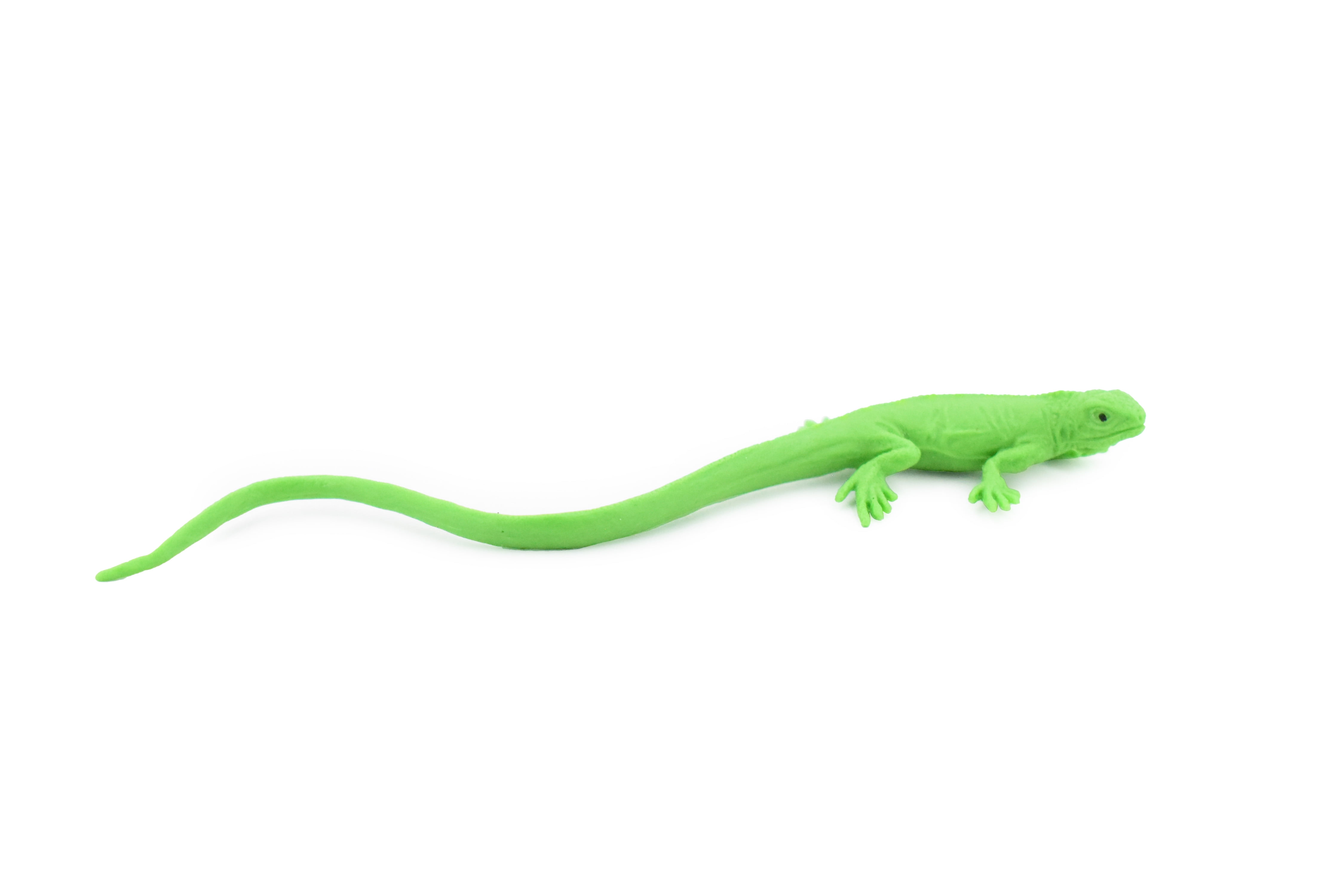 Iguana Realistic Rubber Lizard Rubber Iguana Clearance