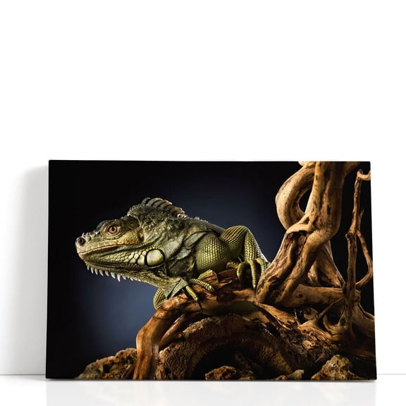 Iguana Lizard on a Tree Branch, Reptile Photography - Wrapped Canvas Print Wall Art | 48" W x 32" H