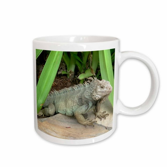 3drose, Iguana on Pavement, 15oz Mug