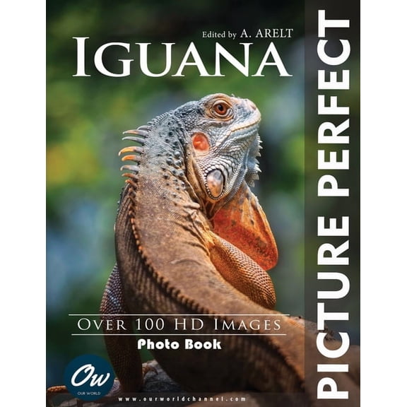 Iguana: Picture Perfect Photo Book, (Paperback)