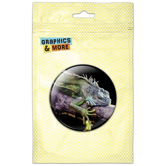 Iguana on Branch Refrigerator Button Magnet
