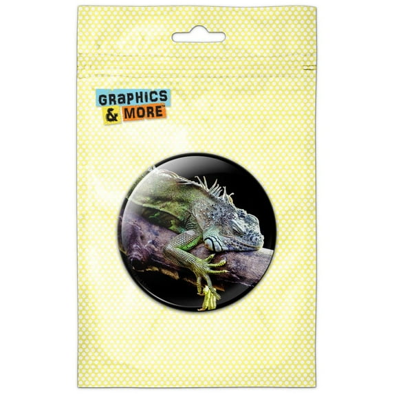 Iguana on Branch Refrigerator Button Magnet
