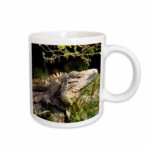 3drose, Iguanas (lizard), Cayman Islands, Caribbean-ca42 Gjo0068 - Greg Johnston, 15oz Mug