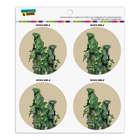 Iguanas Lizards Aztec Temple Refrigerator Fridge Locker Vinyl Circle Magnet Set