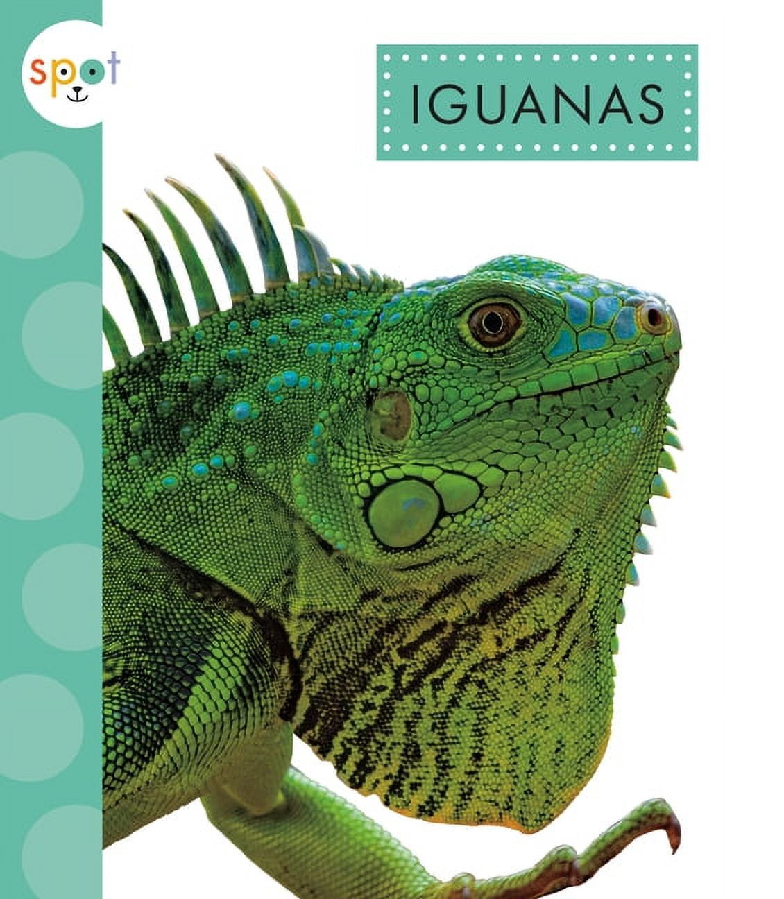 洋書　グリーンイグアナ　IGUANAS QUARTERY 洋書 グリーンイグアナ IGUANAS QUARTERY 洋書 グリーンイグアナ
