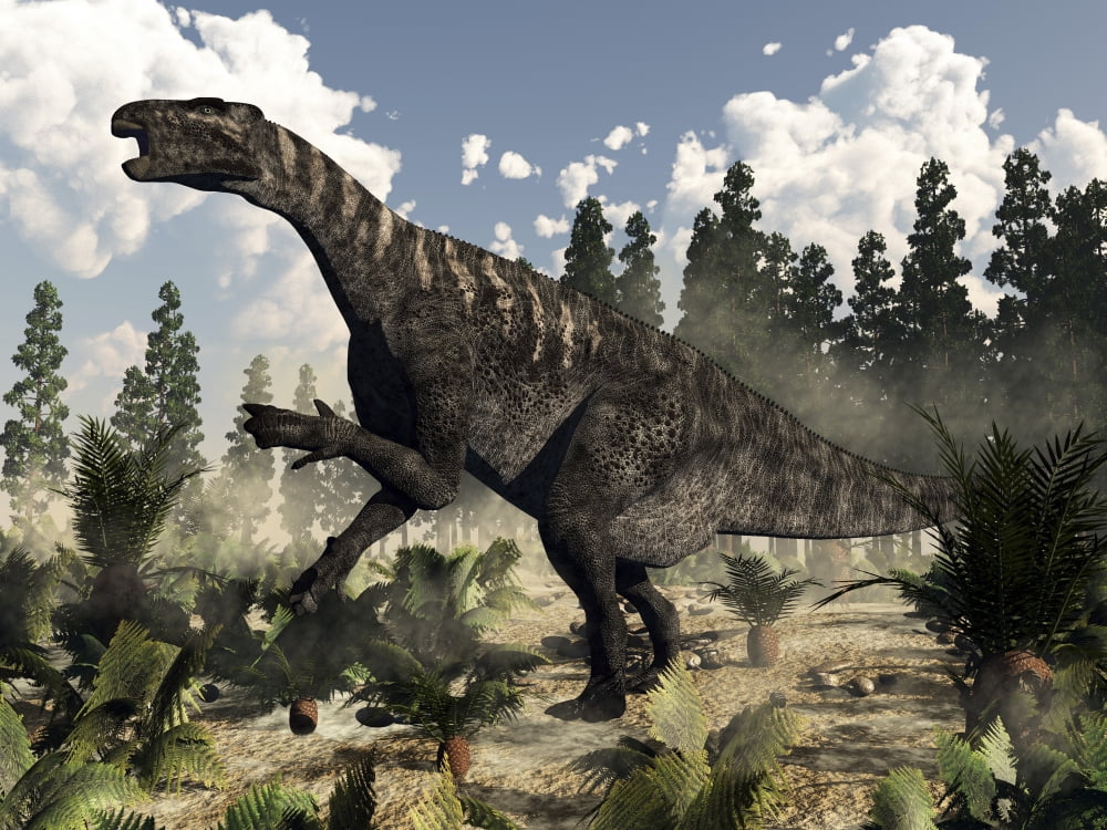 Iguanodon dinosaur roaring Canvas Art - Elena DuvernayStocktrek Images (17 x 13)