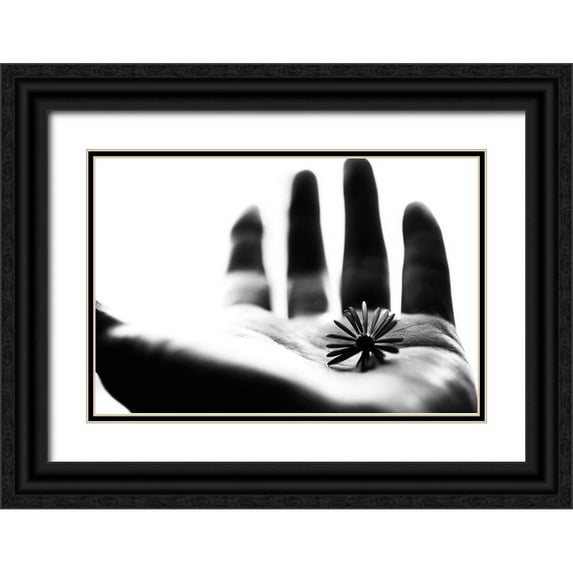 Ikeda, Keisuke 32x23 Black Ornate Wood Framed with Double Matting Museum Art Print Titled - One Life