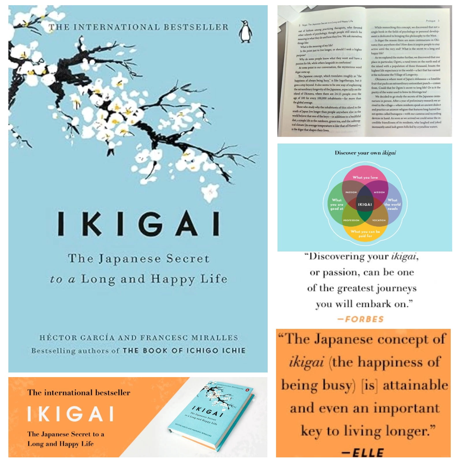 Ikigai: The Japanese Secret to a Long and Happy Life - Unlocking Your 