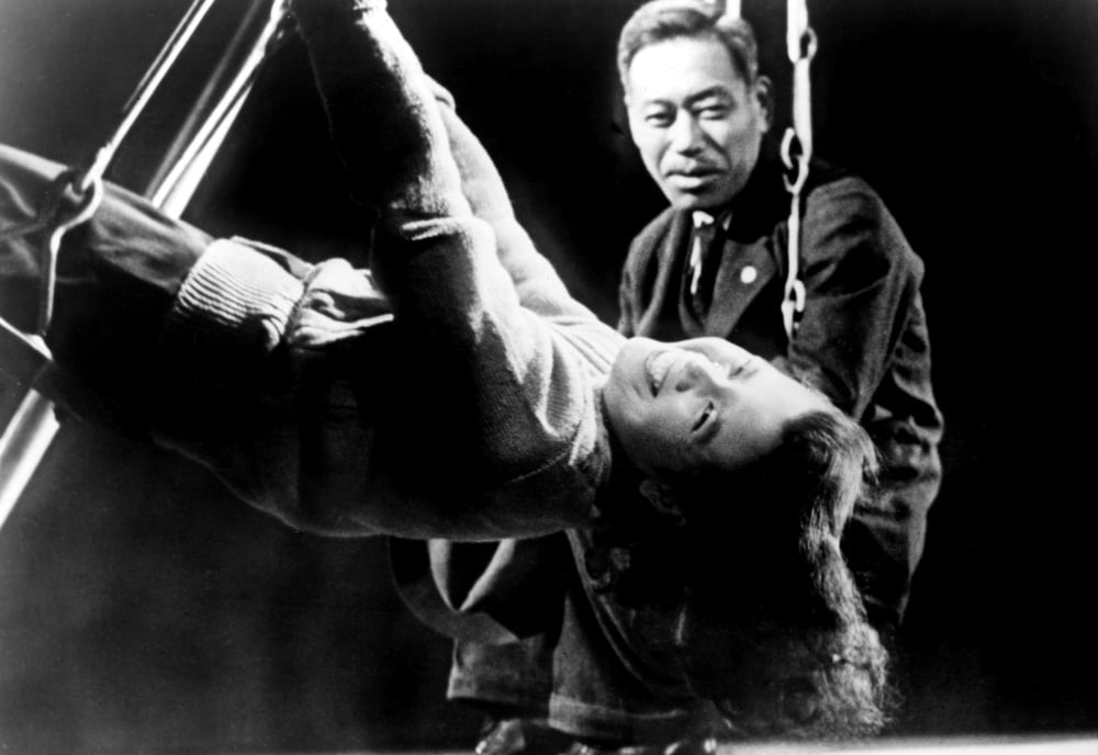Ikiru Canvas Art - (20 x 16)