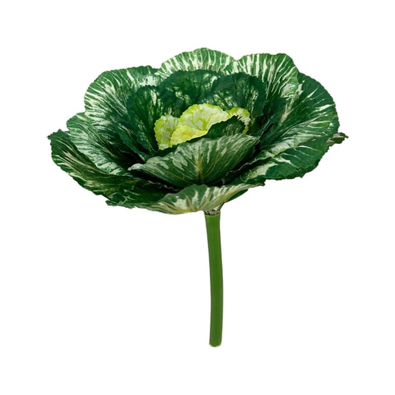 Ikohbadg Artificial Decorative Cabbage, Realistic Botanical Props for Home Decor, Wedding Centerpieces, Kitchen Displays, Maintenance-Free Faux Vegetables for Year-Round Use