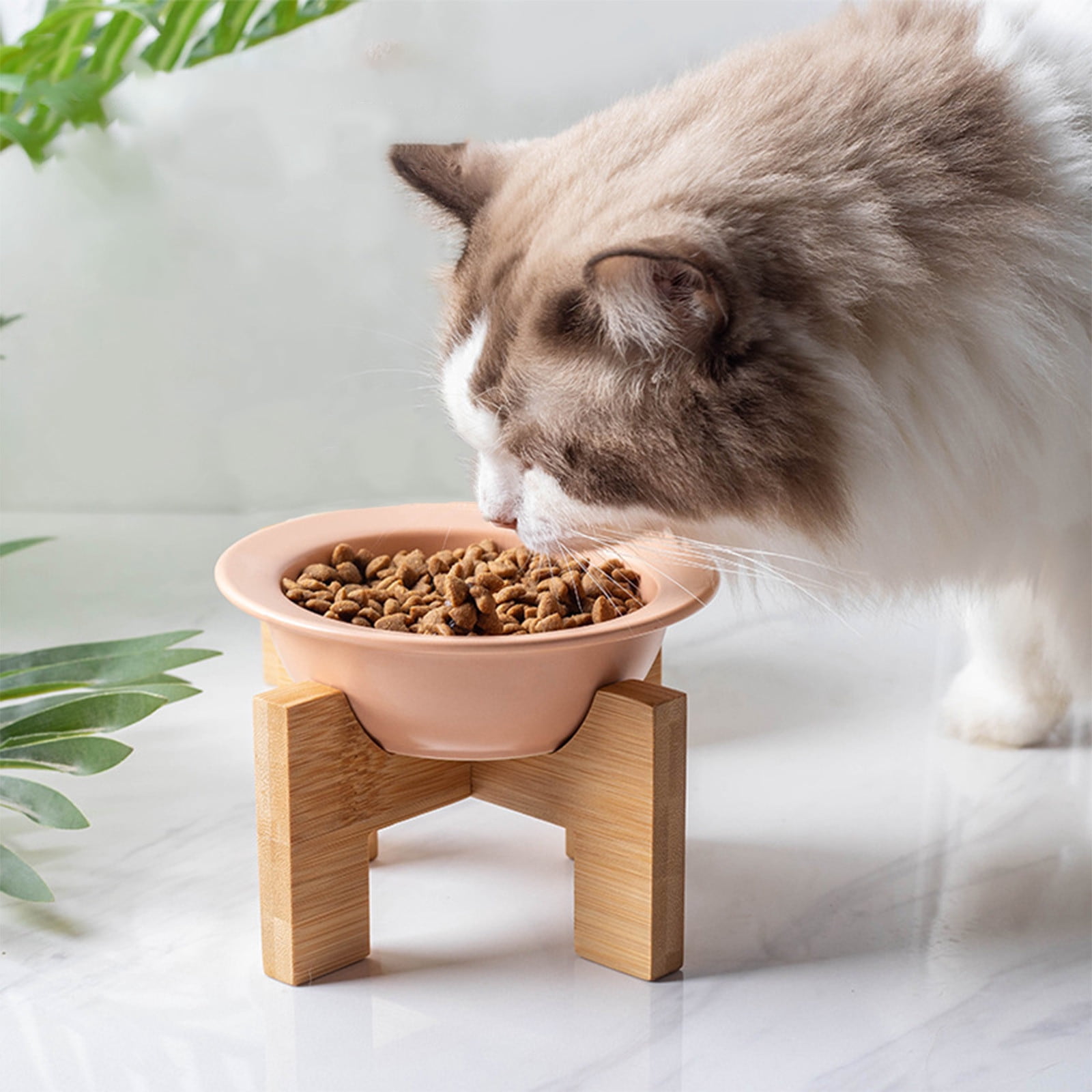 Protection Rice Bowl Ikohbadg Ceramic Pet Bowl Wooden Stand Water Bowl Slanted Rice Bowl for ...