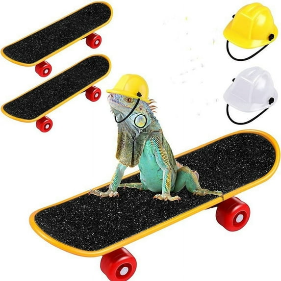 Ikohbadg Hot Selling Pet Helmet Skateboard Set Of 3 Pet Engineering Hat Hard Hat Hamster Lizard Parrot Toy