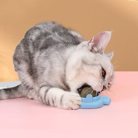 Ikohbadg Pumpkin Catnip Balls for Interactive Cat Play, Self-Spinning Pet Toy with Natural Plant Extracts, Lick-Safe Interactive Cat Toys for Health Benefits