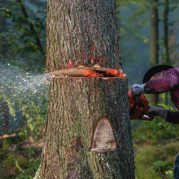 Ikoopy 3 Pcs Tree Felling Tools with Spikes Reusable Felling Tools 5.5inch 8inch 10inch Plastic Tree Cutting Tools Lightweight Portable Chainsaw Accessories for Tree Cutting Orange