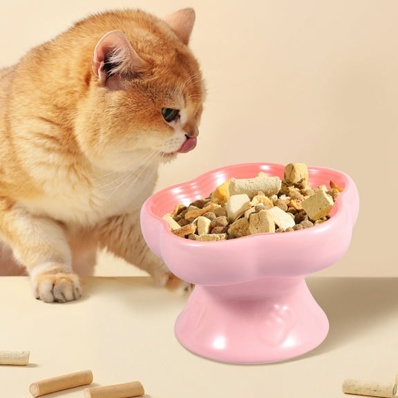 Ikoopy Ceramic Raised Cat Bowl 230 ml 15° Tilted Elevated Dog Feeder Bowl Pet Food Water Feeder Dish Dishwasher Safe for Pet Dog Cat