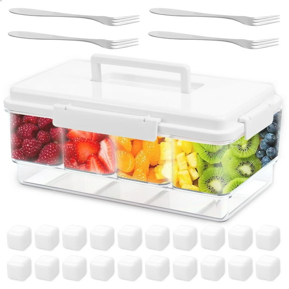 Ikoopy Snackle Box Container with Ice Pack Portable Travel Chilled Divided Serving Tray with Lid Handle 4 Compartment Snack Container Fruits Veggies Snacks
