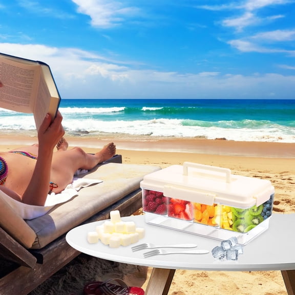 Ikoopy Snackle Box Container with Ice Pack Portable Travel Chilled Divided Serving Tray with Lid Handle 4 Compartment Snack Container Fruits Veggies Snacks