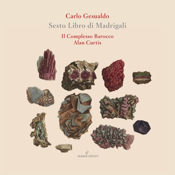 Il Complesso Barocco Curtis - Sesto Libro de Madrigali - Music & Performance - CD