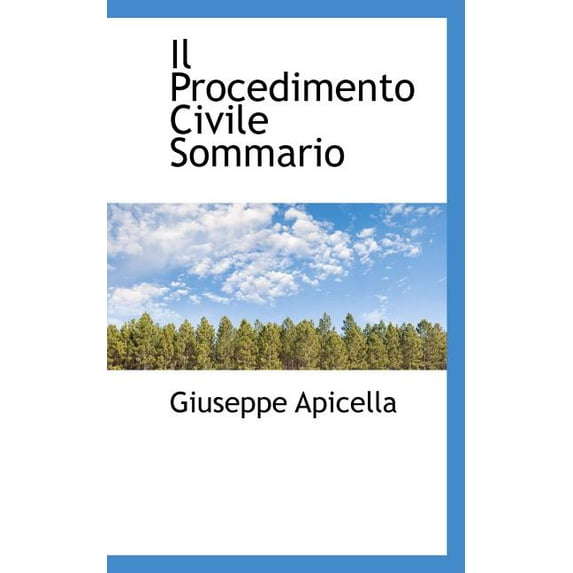 Il Procedimento Civile Sommario (Paperback)