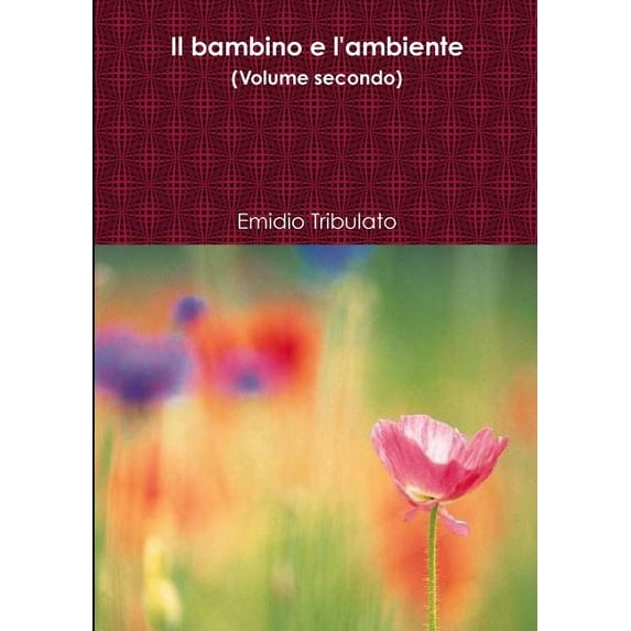 Il bambino e l'ambiente (Volume secondo), (Paperback)