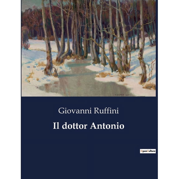 Il dottor Antonio: Un viaggio tra le passioni e le lotte del Risorgimento italiano, (Paperback)