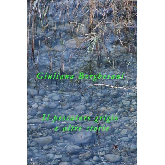Il pescatore grigio e altre storie (Paperback)