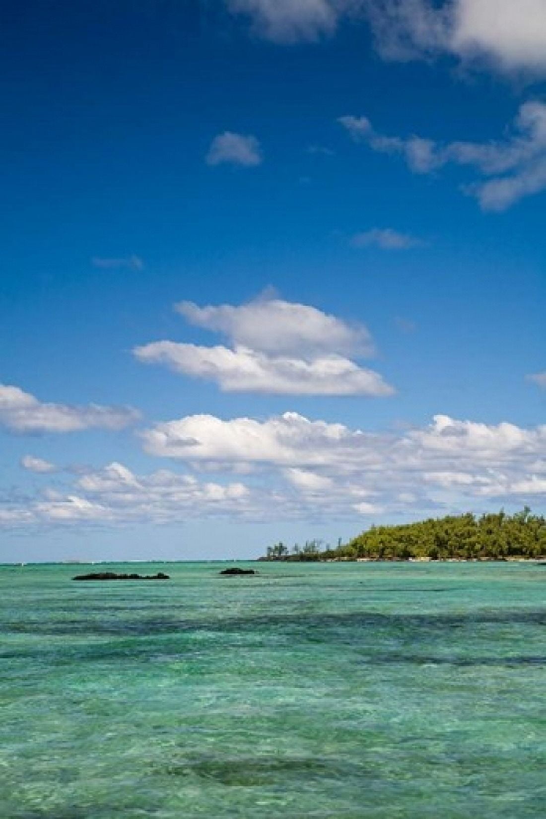 Ile Aux Cerf East end of Mauritius Africa Canvas Art - Stuart Westmorland DanitaDelimont (11 x 17)