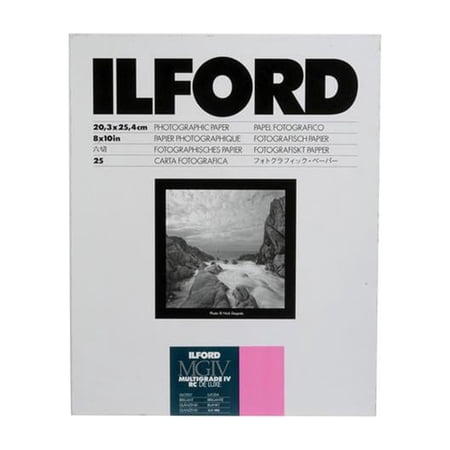 Ilford 1178274 8x10 RC Glossy 25+5 (30) Sheet