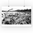 thumbnail image 1 of Iliamna, Alaska - View of a Reindeer Herd Photo (12x18 Art Print, Wall Decor Travel Poster), 1 of 1