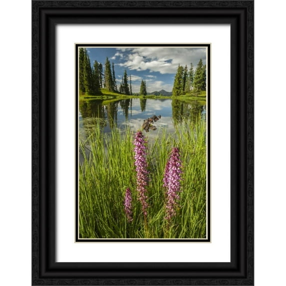 Illg, Cathy and Gordon 11x14 Black Ornate Wood Framed with Double Matting Museum Art Print Titled - Colorado Paradise Divide and pond reflection
