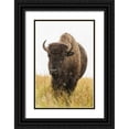 thumbnail image 1 of Illg, Cathy and Gordon 11x14 Black Ornate Wood Framed with Double Matting Museum Art Print Titled - South Dakota, Custer SP Bison and snowflakes, 1 of 4