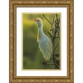thumbnail image 1 of Illg, Cathy and Gordon 11x14 Gold Ornate Wood Framed with Double Matting Museum Art Print Titled - Florida Cattle egret in breeding plumage, 1 of 4