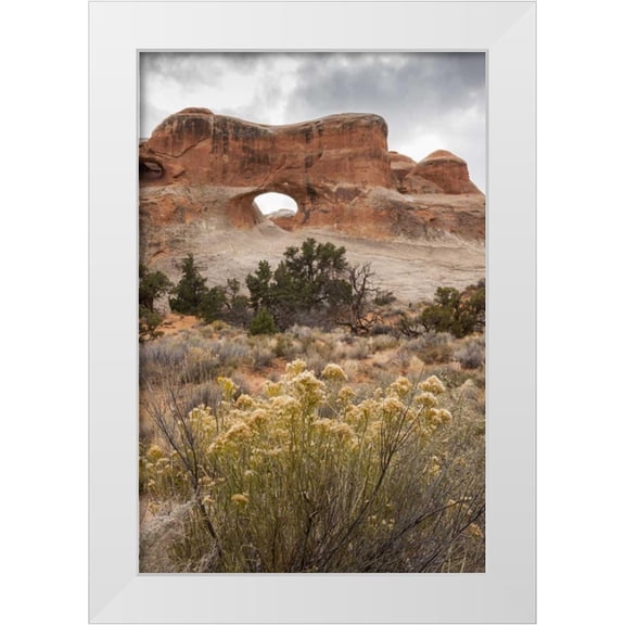 Illg, Cathy and Gordon 11x14 White Modern Wood Framed Museum Art Print Titled - USA, Utah, Arches NP Scenic of Tunnel Arch